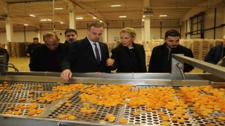 MAGİNDER, Malatya OSBde incelemelerde bulundu