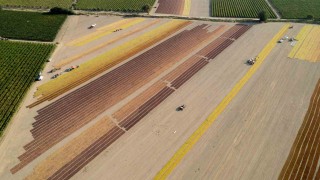 Manisa 2024 yılında 842 milyon dolarlık tarımsal ihracat yaptı