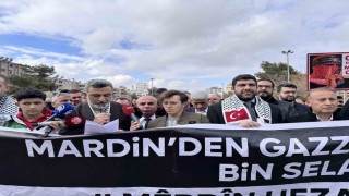 Mardin STK Platformu: “Gazzenin direnişi, adalet ve özgürlük için umut olmuştur”