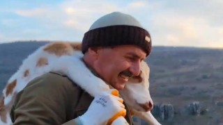 Merada doğan buzağıyı 5 kilometre sırtında taşıyan besici konuştu