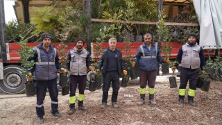 Mersin Büyükşehir Belediyesinden Adıyamana yeşil destek