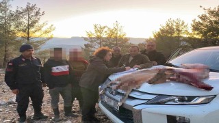 Mersinde yaban keçisi avlayan 2 şahsa 673 bin TL ceza kesildi