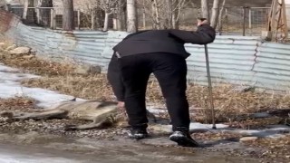 Minik Eslemin ölümünden sonra köpekler toplanmaya başlandı