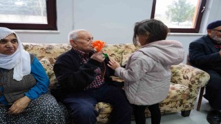 Minik kalpler, çınarların gölgesinde
