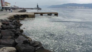 Müsilaj Çanakkale Boğazını kaplamaya başladı
