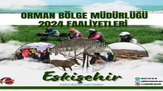 Orman Bölge Müdürlüğü orman yangınlarıyla mücadele çalışmalarını sürdürüyor