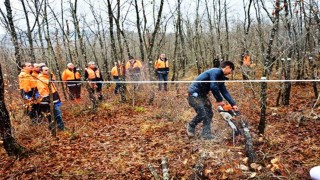 Orman köylüsü endüstriyel odundan 698 milyon TL kazandı
