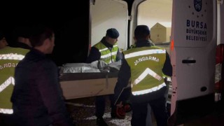 Ormandaki vahşetin gizemi çözüldü