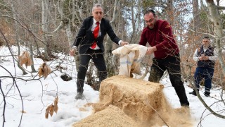 Osmaniye Belediyesi’nden Yaban ve Sokak Hayvanlarına Kış Desteği