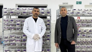 Osmaniye, Türkiye’nin Akrep Üretim Merkezi Olmaya Aday