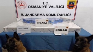 Osmaniye’de 107 Şüpheli Gözaltına Alındı