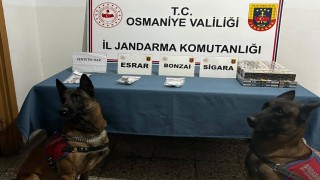 Osmaniye’de Jandarmadan Suç ve Suçlulara Darbe