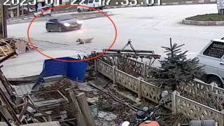 Otomobiliyle köpeğe çarptı, umursamadan yoluna devam etti