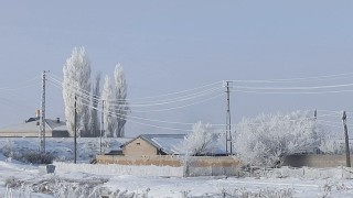 Özalp ve Saray buz kesti, ağaçlar kırağı tuttu