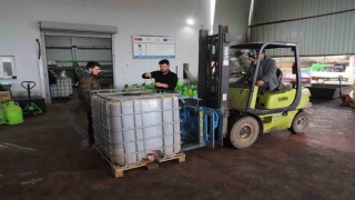 Park ve bahçelerdeki zeytinler ihtiyaç sahipleri için zeytinyağına dönüştürüldü