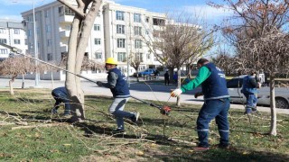 Park ve sokaklarda peyzaj çalışmaları devam ediyor