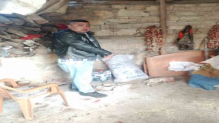 Pazara giden çobanın ağılına giren sokak köpekleri 2 kuzuyu parçaladı