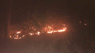 Rizede orman yangınını söndürme çalışmaları sürüyor