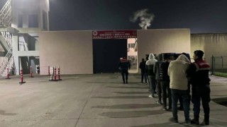 Sakaryada hayvan hırsızlığı yapan çeteye operasyon: 7 tutuklama
