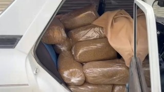 Samsunda 250 kilo kaçak tütün ele geçirildi