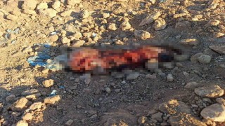 Şanlıurfada toprağa gömülü ceset bulundu