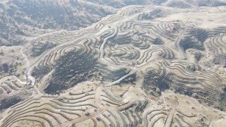 Sasonda 5 bin 300 adet fıstık ve badem fidanı dikildi