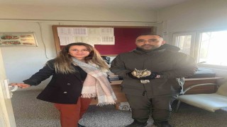 Şırnakta yaralı puhu kuşları tedavi altına alındı