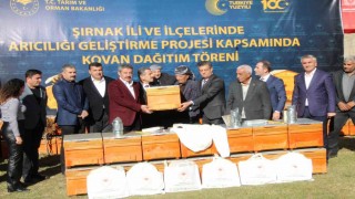 Şırnakta yılda 710 ton bal üretilecek