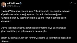 Sokak köpeklerinin öldürdüğü Eslem için Mülkiye Başmüfettişi görevlendirildi