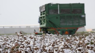 Sökenin tarımsal kayıtlılık oranı dikkat çekti