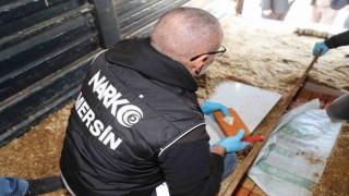 Talaşların altından 45 kiloya yakın eroin ele geçirildi