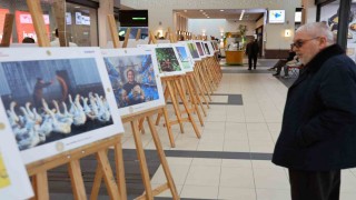 Tarım, Orman ve İnsan temalı fotoğraf sergisi açıldı