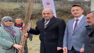 Tavşanlıda 29 çiftçiye 2 bin 784 hünnap ve cennet hurması fidanı dağıtıldı