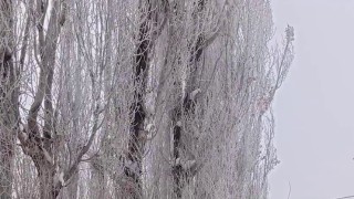 Tekman eksi 24,9 ile dondu