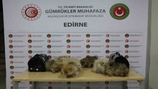 Ticaret Bakanlığı yasa dışı ticarete engel oldu