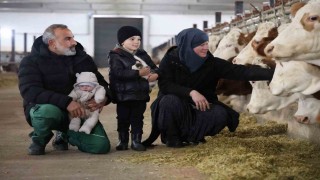 TKDKdan aldığı destekle ülkesine dönüp çiftlik kurdu, 432 ton süt üretiyor
