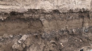 TOKİ Şantiyesinde Kemik Kalıntıları Bulundu