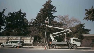 Toroslar EDAŞtan deprem bölgesine bakım onarım ve enerji çalışmaları