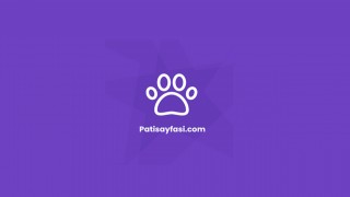 Toy Poodle: Sevimliliği ve Zekâsıyla Gönülleri Fetheder