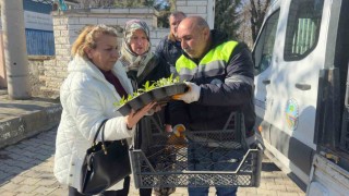 Turhalda 3 bin 500 çiçek kabirlerle buluştu