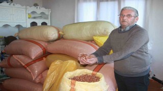 Türkiye fındığının yüzde 15i üreticinin evinde