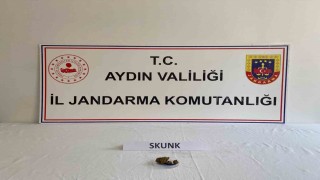 Uyuşturucu kullanan şahıslar jandarmadan kaçamadı