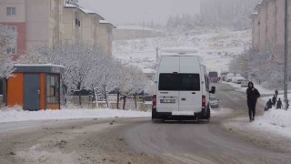 Vanda kar yağışı hayatı olumsuz etkiledi