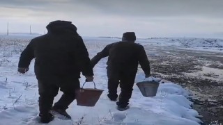 Vanda yaban hayvanları için doğaya yem bırakıldı