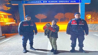 Vatandaşın bulduğu yaralı kızıl şahin jandarma ekiplerine teslim edildi
