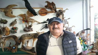 Yaban hayatını Tahnit Sanatıyla yaşatıyor
