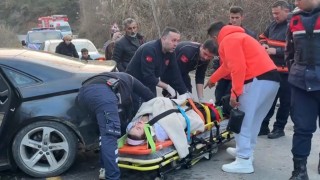 Yabancı uyruklu şahısların içinde bulunduğu otomobil ağaca çarptı: 1 yaralı