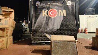 Yalovada 3 milyon 360 bin dolu makaron ele geçirildi