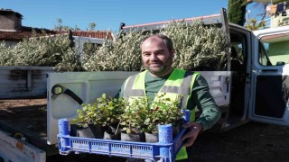 Yangında zarar gören üreticilere fidan desteği