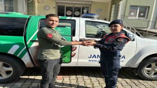 Yaralı baykuş jandarma ekiplerince kurtarıldı
